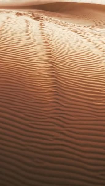 Вертикальное Видео Огромная Песчаная Дюна Возвышается Среди Бесплодной Пустыни Затмевая — стоковое видео