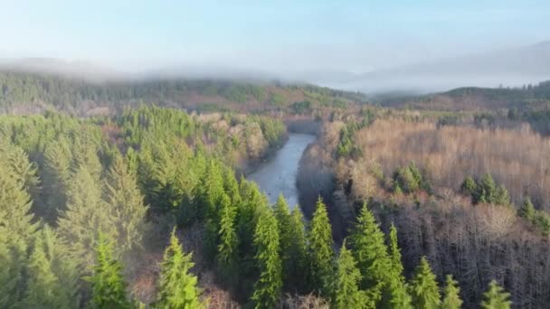 Потрясающие Кадры Беспилотника Сверху Показывающие Дорогу Проходящую Через Густой Лес — стоковое видео