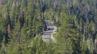 Sarı bir okul otobüsü Tahoe Gölü, Kaliforniya, ABD 'de manzaralı bir orman yolunda yol alıyor. Yeşillik ve uzun ağaçlar bu sakin yolculuk için güzel bir zemin oluşturuyor. 4K görüntü.