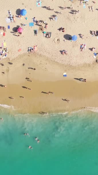 Вертикальне Відео Вид Зверху Людей Які Плавають Піщаному Пляжі Тихому — стокове відео
