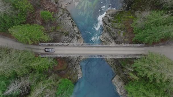 Yukarıdan Tek Bir Araba Washington Çölünün Yemyeşil Yeşillikleri Arasında Yuva — Stok video
