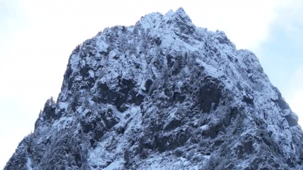 Washington Açık Bir Gökyüzünün Altında Karla Kaplı Ağaçlarla Çevrili Kayalık — Stok video