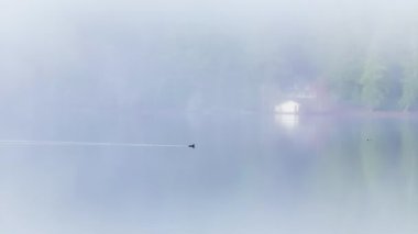 Arka planda zar zor görünen bir kayıkhane ile sisli gölde süzülen yalnız bir ördeğin huzur dolu yalnızlığı simgelediği sakin bir sahne gözler önüne seriliyor. 4K görüntü. 