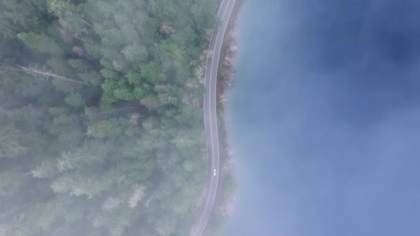 Вид Воздуха Автомобиль Путешествующий Дороге Плотно Обнятой Пышными Лесами Туманом — стоковое видео