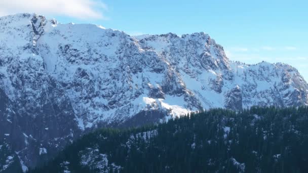 Washington Daki Sık Ormanlarla Içe Geçmiş Karlı Dağların Geniş Hava — Stok video