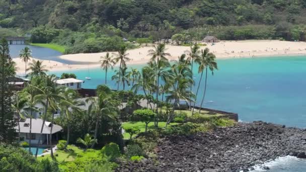 전망은 해안선을 야자수의 풍부한 하와이 오아후의 해변을 보여줍니다 태양이이 그림에 비디오 클립