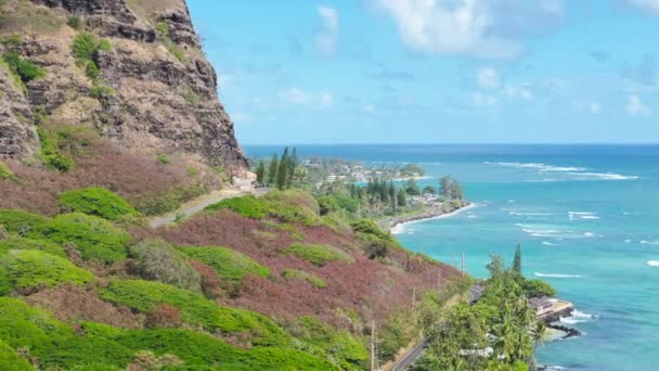 位于美国夏威夷瓦胡岛库洛亚的一个视频展示了一个俯瞰大海的充满活力的绿色山坡 茂密的植被和蓝色的海洋形成了迷人而风景如画的景观 — 图库视频影像