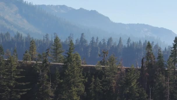 アクティブなランナーは 雄大な松と険しい山の背景に囲まれたタホ湖沿いの風光明媚なコースを素早く移動し 競争のブレンドを体現し 静けさを自然にします 4Kについて — ストック動画