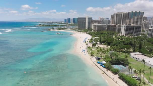 Flygbilden Fångar Waikiki Beach Oahu Hawaii Visar Upp Den Sandiga — Stockvideo