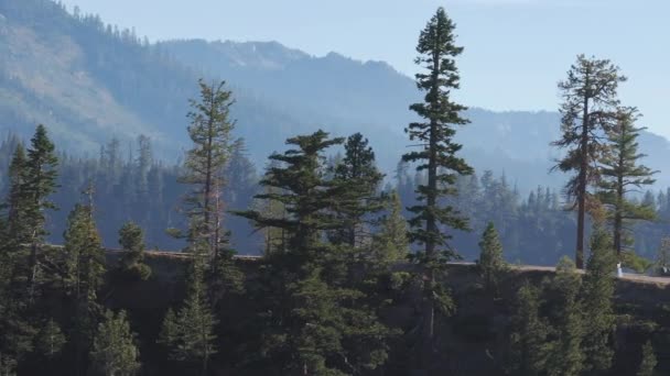 Nella Calma Del Lago Tahoe Corridori Resistenza Corrono Lungo Percorso — Video Stock