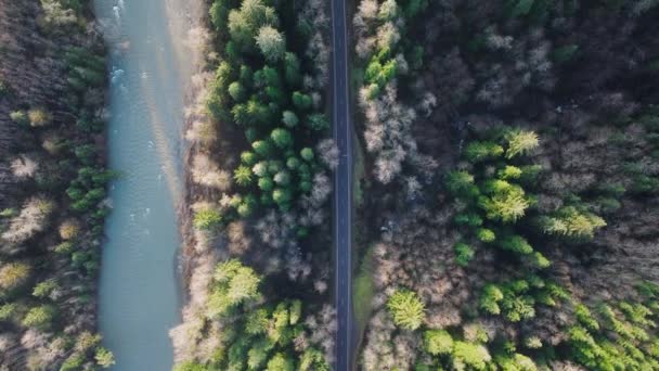 鮮やかな緑の森のコントラストとターコイズ川の横の曲がりくねった道のコントラストを撮影したドローンは 自然の調和と接続性を反映しています 美しい旅行コンテンツに最適です 4K映像について — ストック動画