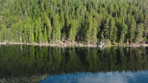 Poznaj Gęsty Las Otaczający Krystalicznie Czyste Wody Jeziora Tahoe Kalifornii — Wideo stockowe
