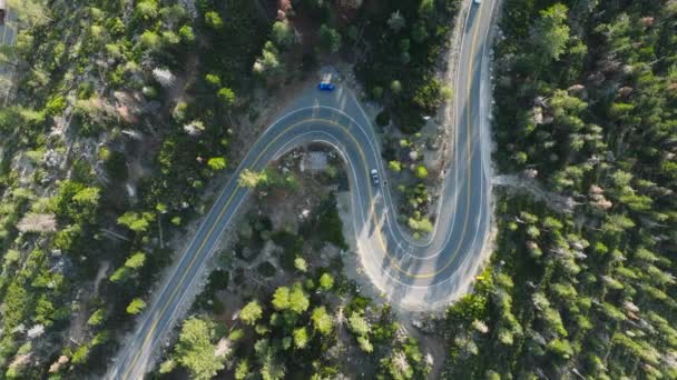 Aerial View Showcases Winding Road Cutting Lush Green Trees Beautiful — 图库视频影像