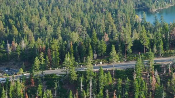 在加州塔荷湖 开车穿过茂密的林间小路 长满了参天大树 这条路被茂密的绿叶树冠环绕着 形成了一条美丽的天然隧道 4K镜头 — 图库视频影像