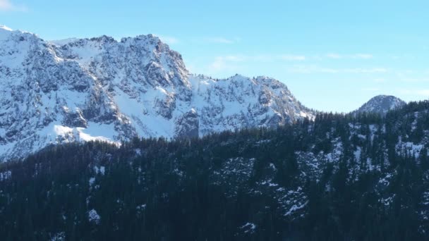ウォッシングボタンの荒野の緑豊かな森の上に登る雄大な雪のピークの素晴らしい空中視点 4K映像について — ストック動画