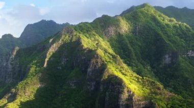 Kualoa, Oahu, Hawaii, ABD 'de canlı yeşil bitki örtüsüyle kaplı çok yüksek bir dağ. Yeşillik, görkemli zirvenin yamaçlarını örterek çarpıcı bir doğal manzara yaratıyor..