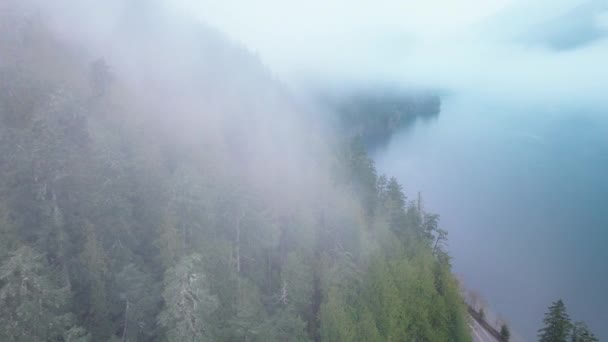 Ранним Утром Туман Добавляет Мистический Слой Этой Лесной Трассе Которая — стоковое видео