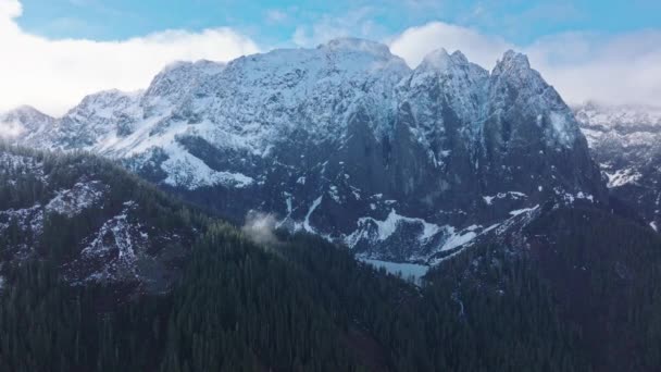 Cativante Drone Tiro Densas Florestas Perenes Montanhas Cobertas Neve Sob Videoclipe
