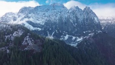 Canlı yeşil bir ormanın ve Washington 'da bulutlu gökyüzünün altında vurucu bir dağın havadan perspektifi. 4K görüntü. 