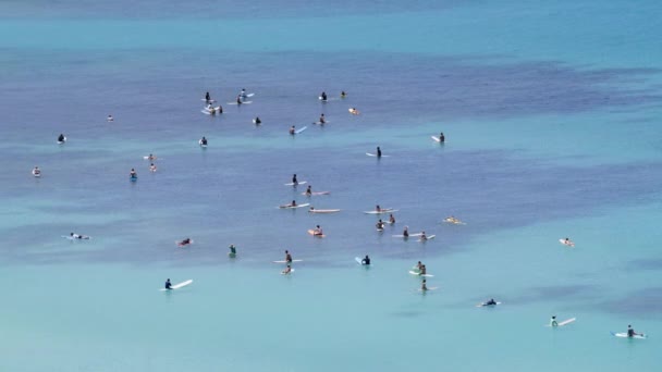 ワイキキビーチは 水泳者やサーファーとしての人生とともにハワイの太陽の下で静かで活気に満ちた青い水を楽しんでいます 4K映像について — ストック動画