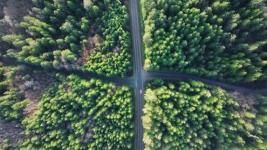Canlı yeşil bir orman ve ara sıra trafiği olan serpentin yolların insansız hava aracı görüntüsü, huzurlu kaçışları ve doğal manzaraları betimliyor. Çevresel görseller için ideal. 4K görüntü. 