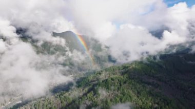 Bu hava görüntüsü, Washington 'daki sis kaplı dağ ormanları boyunca uzanan ve mistik bir atmosferi somutlaştıran canlı bir gökkuşağı görüntüsü. 4K görüntü. 