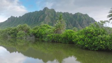 Yükselen ağaçlar ve görkemli dağların arasına yerleşmiş görkemli bir su kütlesi çarpıcı bir doğal manzara yaratıyor. Huzurlu sahne, Kualoa, Oahu, Hawaii, ABD 'deki doğanın güzelliğini yansıtıyor..