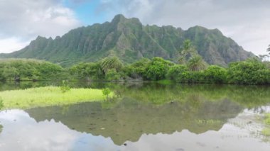 Kualoa, Oahu, Hawaii, ABD 'nin pitoresk bölgesinde yemyeşil ağaçların ve yüksek dağların arasına kurulmuş çarpıcı bir göl. Sakin sular doğal güzelliği yansıtır..