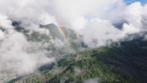 この空中撮影は ワシントンの霧に覆われた山林に広がる鮮やかな虹を捉え 神秘的な雰囲気を体現しています 4K映像について — ストック動画