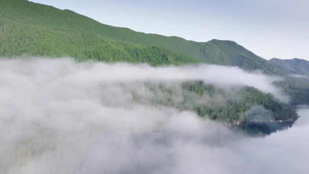 Denne Luften Fanger Det Enorme Washingtons Landskapet Med Tåkelagte Fjellrygger – stockvideo