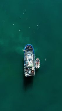 Yukarıdan çekilen bir balıkçı teknesi ve küçük bir gemi yakınlardaki martılarla birlikte berrak yeşil sularda huzur içinde yüzüyorlar. Dikey biçim 16x9 ekran için idealdir