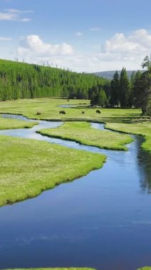 Yellowstone Ulusal Parkı, sarmal nehirlerin, yemyeşil yeşil manzaraların nefes kesici hava manzarası ve sakin ve pitoresk bir ortamda otlayan bizonlar sunuyor. Parkların doğal güzelliklerini gözler önüne seriyor.