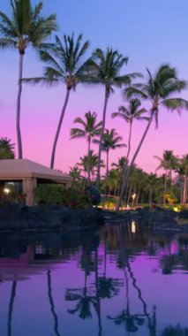 Akşamüstü gökyüzünün altındaki havuza yansıyan palmiye ağaçlarının olduğu sakin bir tropikal gün batımı sahnesi. Çok güzel ve huzur verici bir manzara, rahatlama ve sükunet için mükemmel.