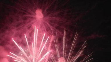 120 fps yavaş çekimde çekilmiş çarpıcı bir havai fişek gösterisine tanık olun. Canlı renkler ve patlayıcı desenler gece gökyüzünü parlatıyor. Parlak ve heyecan dolu.