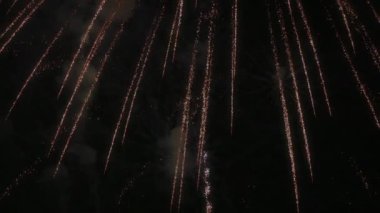 Saniyede 120 kare hızla çekilen havai fişek gösterisine kendinizi daldırın. Gece gökyüzüne karşı büyüleyici ağır çekimde canlı ışık patlamaları sergiliyorsunuz.