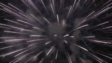 120 fps 'te havai fişeklerin nefes kesici güzelliğini, büyüleyici bir heyecan ve kutlamayla göz kamaştırıcı renk ve desenleri ortaya çıkararak deneyimleyin.