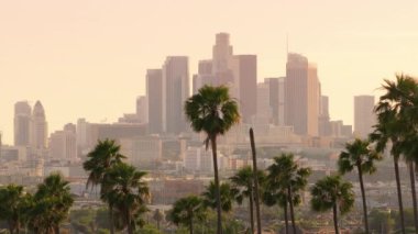 Akşamları, palmiye ağaçlarıyla süslenmiş Los Angeles şehir merkezindeki göz kamaştırıcı siluet, günbatımından sonra Güney Kaliforniya 'da büyüleyici bir manzara sunuyor, kentsel ve doğal güzelliklerin bir karışımını sergiliyor.