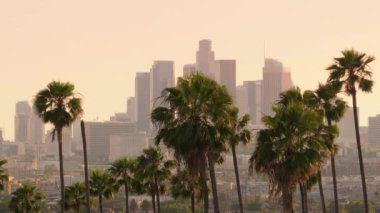 Gün batımında Los Angeles, Kaliforniya şehir merkezinin sakin bir manzarası. Önplanda ikonik gökdelenler ve palmiye ağaçları var. Şehir ve doğal manzaraların eşsiz bir karışımını vurguluyorlar..