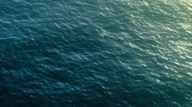 Görkemli bir martı günbatımında okyanus üzerinde yavaşça süzülerek vahşi yaşamın ve doğanın inanılmaz güzelliğini gösterirken aynı zamanda özgürlüğü ve sakinliği simgeliyor.