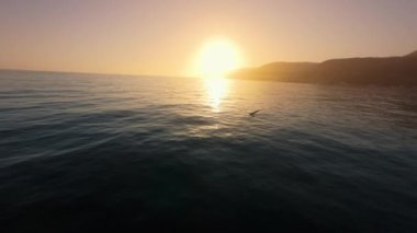 Malibu 'daki 4K FPV İHA' sı büyüleyici bir gün batımı kovalamacasını martı ile yakalar, doğa ve teknolojiyi harmanlayarak sahil güzelliğini sinematik ve dehşet verici bir şekilde gösterir.