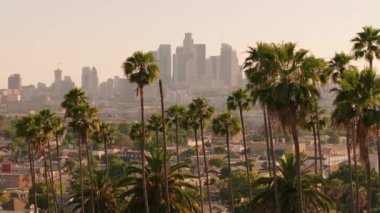 Los Angeles şehir merkezinin nefes kesici hava manzarasını ele alalım, ikonik siluetini, palmiye ağaçlarını ve şehrin dinamik özünü ve canlı yaşam tarzını mükemmel bir şekilde yansıtan güneşli gökyüzünü gözler önüne serelim.
