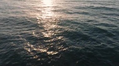 Okyanusun üzerinde süzülen pelikanların büyüleyici bir görüntüsü nefes kesici bir günbatımına karşı, 4K 'da 120 fps' lik büyüleyici bir atmosferde çekilmiş, hareket halindeki sahil yaban hayatının güzelliğini yakalıyor.