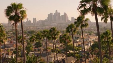 Los Angeles, Kaliforniya, ABD - 21 Haziran 2024: Los Angeles şehir merkezindeki canlı hava manzarası etkileyici gökdelenler, ikonik palmiye ağaçları ve bölgeyi çevreleyen büyüleyici banliyö mahallelerini gösteriyor