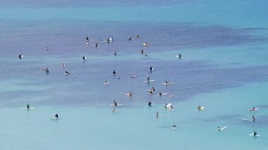Ziyaretçiler Waikiki Sahili 'nde çeşitli su aktivitelerine katılıyorlar, yüzmekten sörf yapmaya kadar, mavi gökyüzünün arka planına karşı. 4K görüntü. 