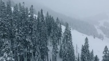Hava manzarası, heyecan verici deneyimler arayan kayakçılar ve snowboardcular için mükemmel bir kış manzarasını gözler önüne seriyor.