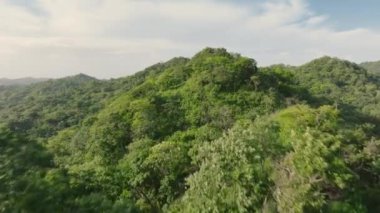 Kosta Rika 'nın nefes kesici güzelliğini keşfedin, canlı ormanları ve çarpıcı manzaraları olan bir cennet, büyüleyici 4K hava görüntüleriyle canlandı.