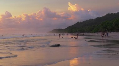 Puntarenas, Kosta Rika 'da bulunan nefis bir plaj olan Playa Santa Teresa' nın nefes kesici hava manzarasını keşfedin. Canlı gün batımlarını sergiliyor ve herkesi cezbeden sakin bir kıyı şeridi sunuyor.