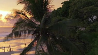 Karşınızda Playa Santa Teresa 'nın çarpıcı hava manzarası. Huzurlu plajını, canlı günbatımını ve güzel Puntarenas, Kosta Rika bölgesinde verimli tropikal çevreyi yakalıyor. Gerçek bir cennet.