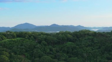 Kosta Rika 'nın nefes kesici güzelliğini, yemyeşil ormanlarını inanılmaz bir hava perspektifinden yaşayın. 4K çözünürlüğünden keyif alın.