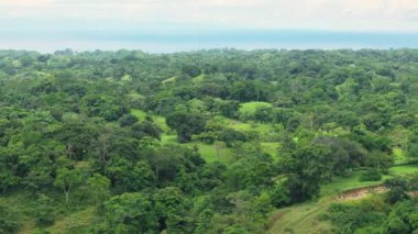 Bu hava fotoğrafında doğal güzelliği ve rahatlığı arayan doğa severler ve maceracılar için mükemmel Playa Santa Teresa, Kosta Rika 'nın yemyeşil ve çarpıcı kıyı şeridi yer alıyor.